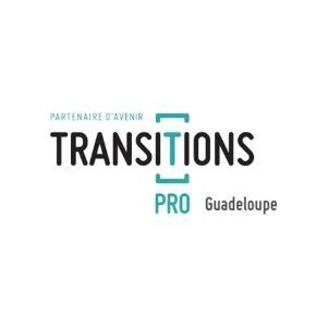 Logo transition pro guadeloupe